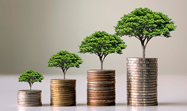 Eco-Care Loans  Finance Your Green Lifestyle and Help the Earth