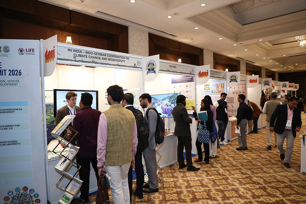 Expo @TerraZone 9-5pm